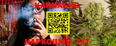стаф Ставрополь