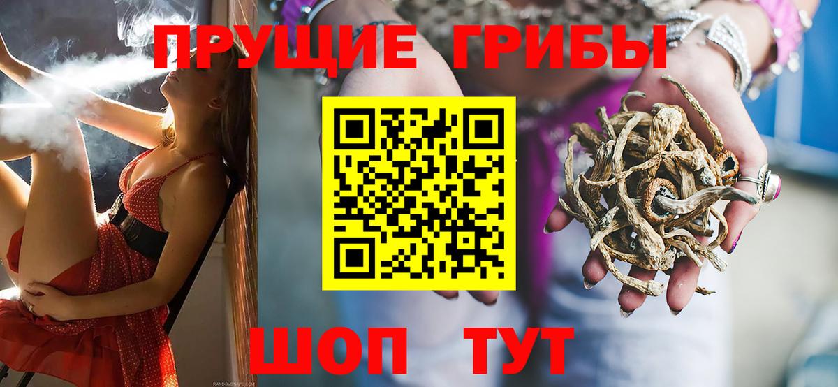 Галлюциногенные грибы мицелий  Вход с VPN  Хабаровск  Псилоцибиновые грибы Cubensis 